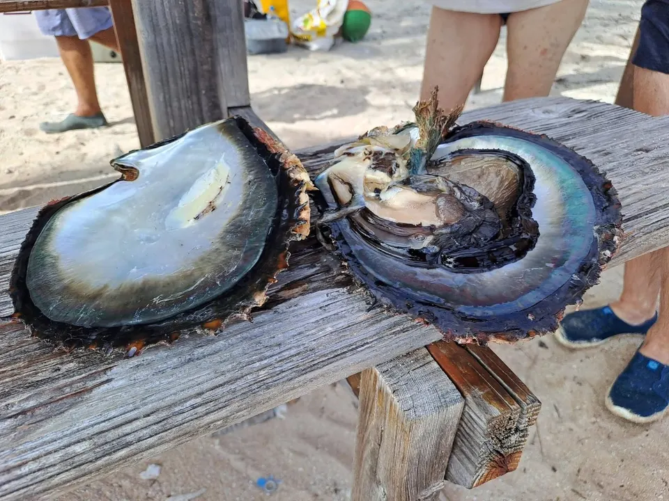 Ferme perlière sur l’atoll de Manihi