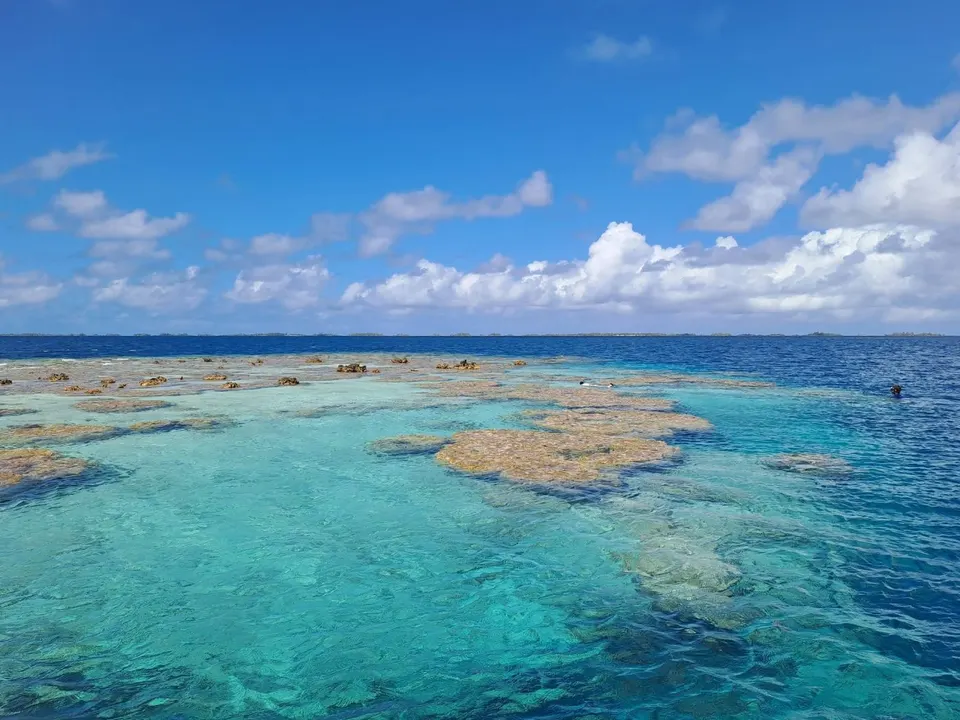 Le lagon de Manihi